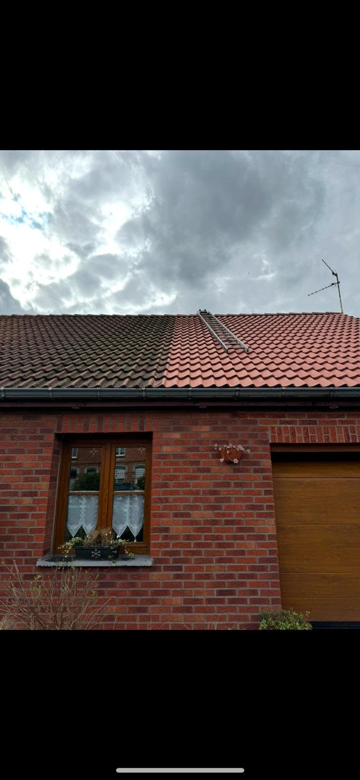 Travaux de renovation & demoussage toiture